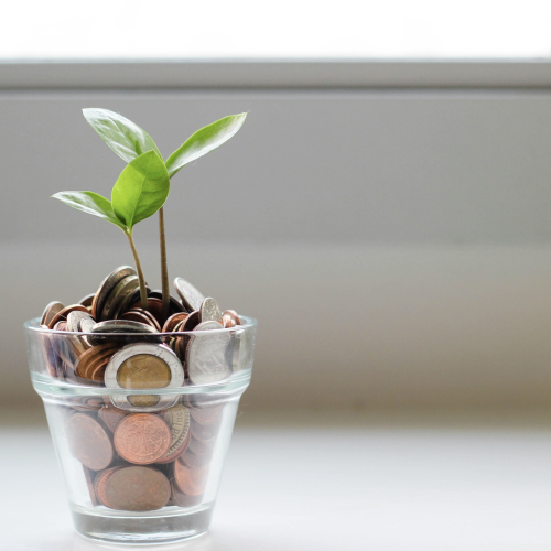 plant growing out of money representing the growth potential of a referral partner collaboration